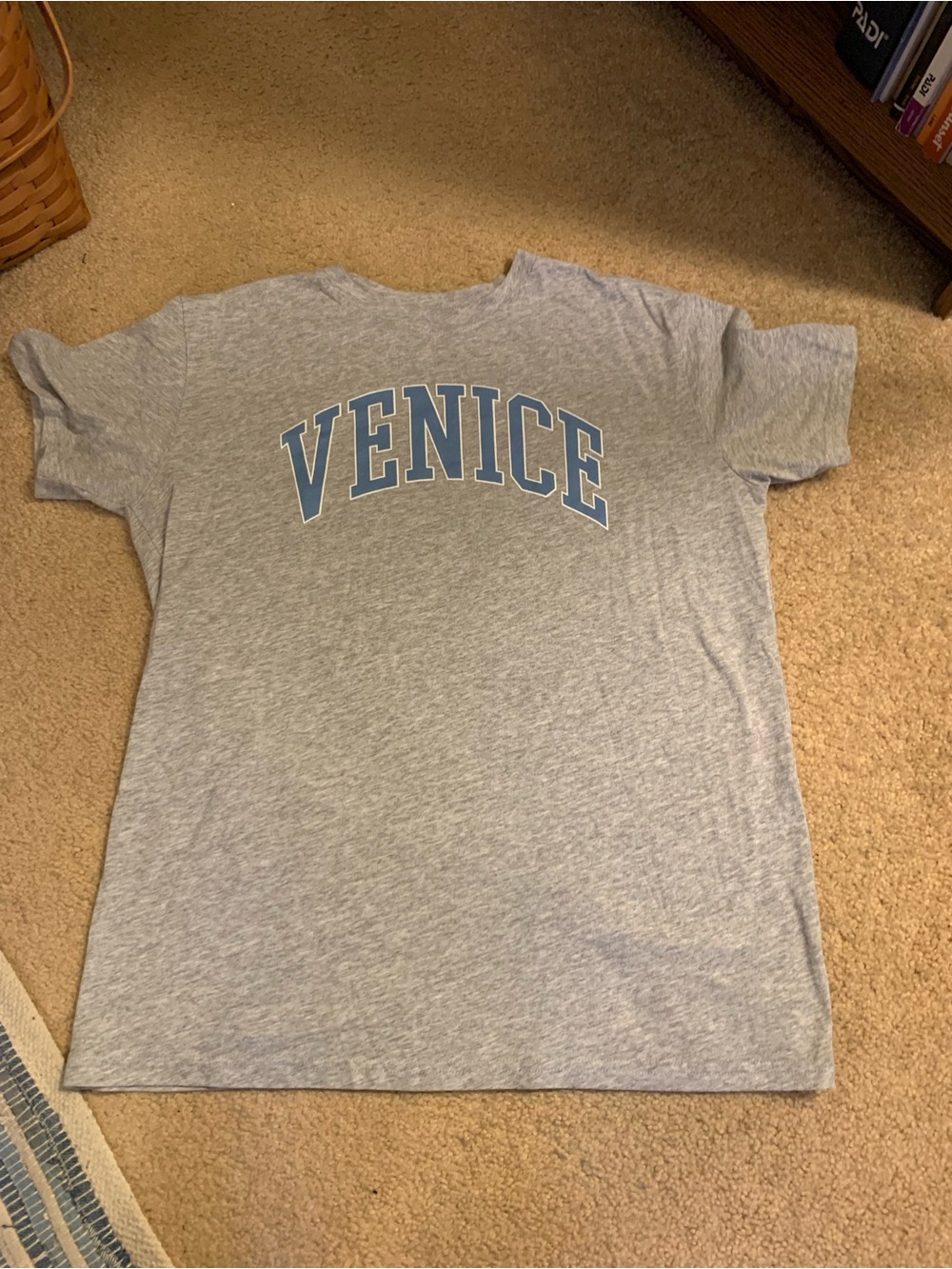 Venice Graphic Tee - Gray with Blue Lettering